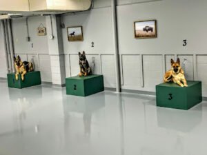 Randy Hare’s Alpha Canine Training Center, Inc.