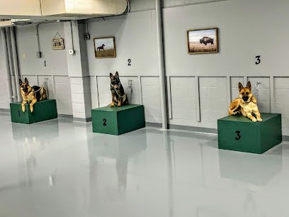 Randy Hare‚Äôs Alpha Canine Training Center, Inc.