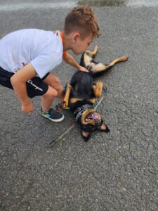 A K9’s Purpose Training