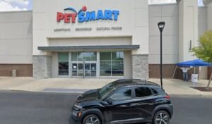 PetSmart Dog Training