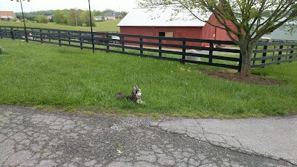 NADM K-9 Performance Events