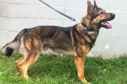 Final Alert K9