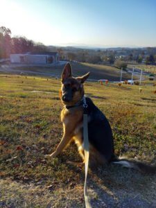 East Tennessee K-9