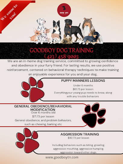 Good Boy Dog Training