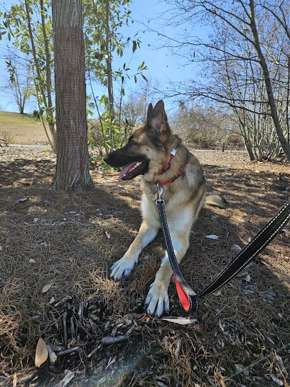 Off Leash K9 Training Memphis