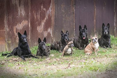 Thunderhawk Canine LLC