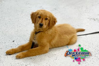 Off Leash K9 Training Tennessee
