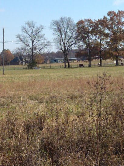 Black Dog Farm – Dog Training