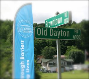 Blue Bridge Dog Training