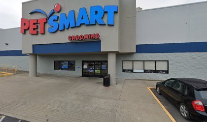 PetSmart Dog Training