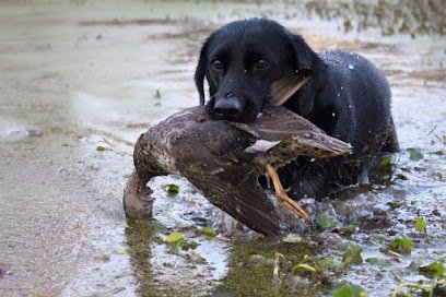 Duckhill Kennels