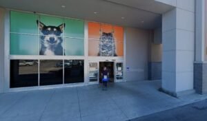 PetSmart Dog Training