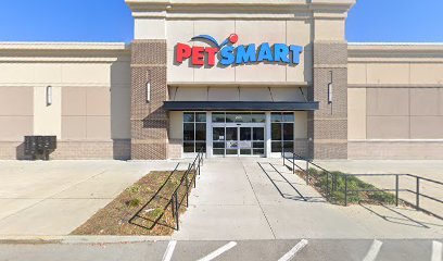 PetSmart Dog Training