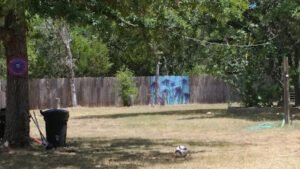 Woof Ranch