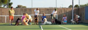 Good Dog Fetch