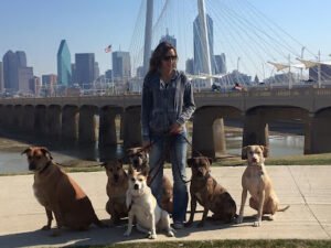Hoodlum Hounds Dog Training