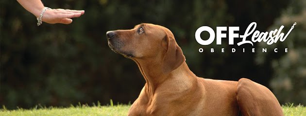 Off Leash Obedience