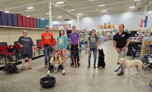 DoubleD Creek Ranch Inc, Balanced Canine Services