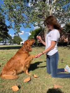 Paw2Paw “Paw”sitive Dog Training