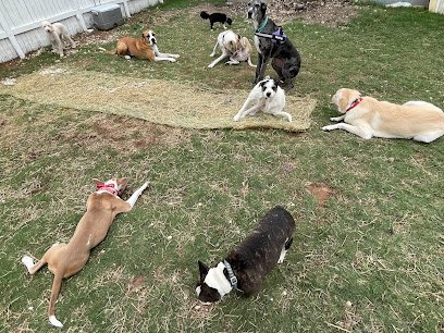 Perros and People