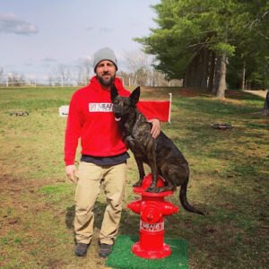 Sit Means Sit Dog Training Frisco