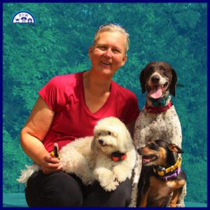 Bark Train Wag Dog Training