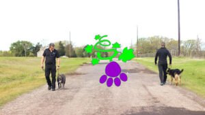 Grapevine K9 Dog Training