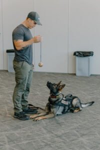 Legion K9