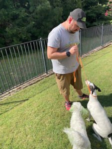 Backyard Pet Training