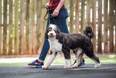 Revival Dog Training – West University