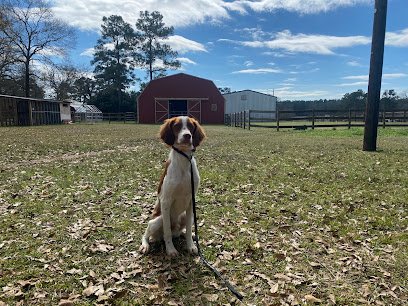 Dante’s Dog Farm