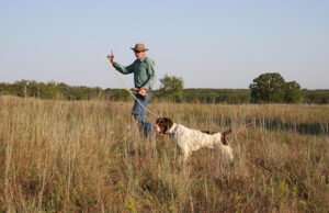 M & W Gun Dog