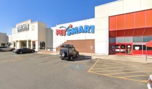 PetSmart Dog Training