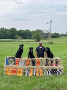 Oak Creek Retrievers & Training LLC