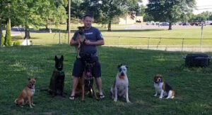 The Traveling Hounds