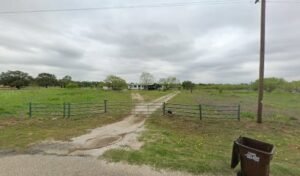 Lone Star Canine Services