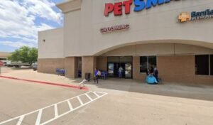 PetSmart Dog Training