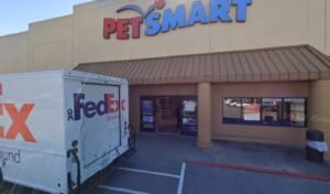PetSmart Dog Training