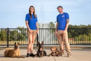 JRK9 Dog Training