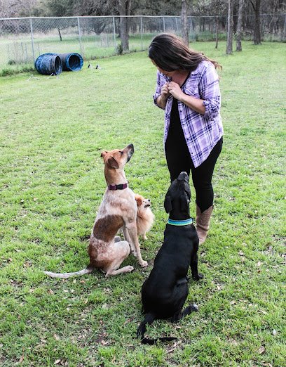 Conscious Dog Training