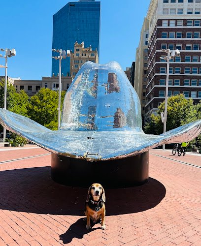 Ward’s Dog Training