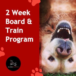 All Dogs Unleashed Dog Training Dallas