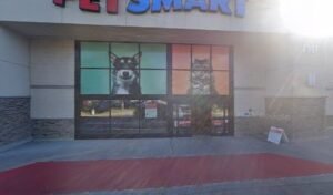 PetSmart Dog Training