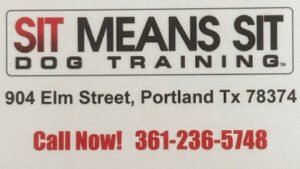 Sit Means Sit Dog Training Corpus Christi