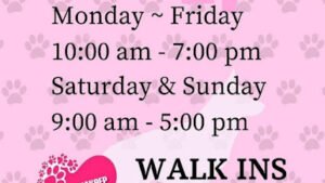 Viva K9 Training, Boarding and Grooming Center