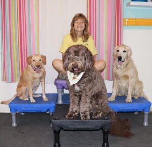 Miss Daisy’s Dog Camp