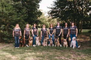 Sit Means Sit Dog Training – Fort Worth