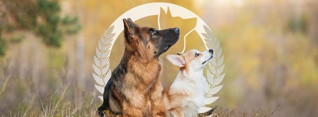 Dog Training Elite San Antonio