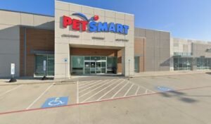 PetSmart Dog Training