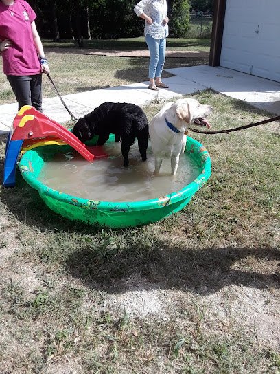 Guide Dogs of Texas Inc